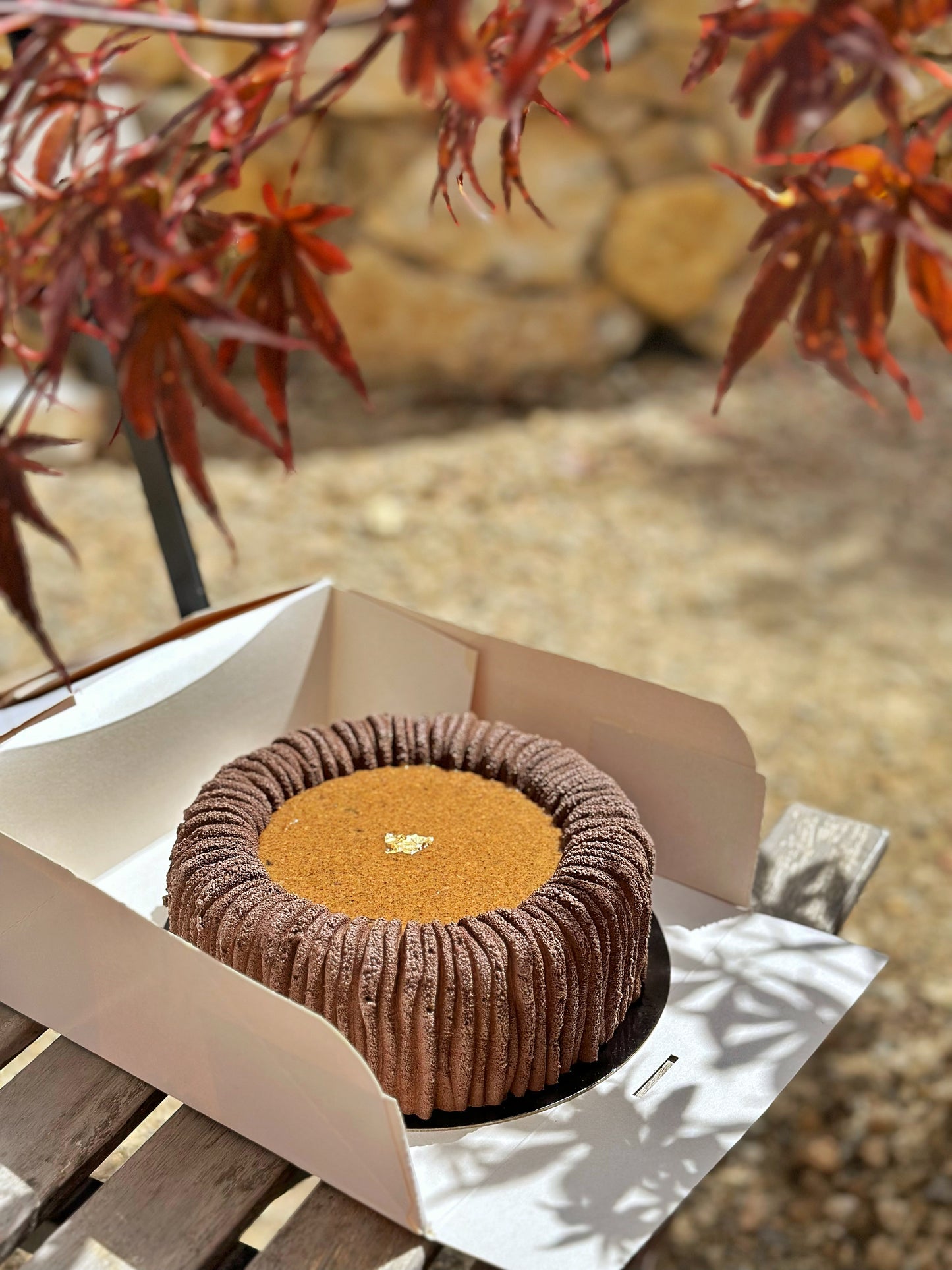 Entremets chocolat & praliné